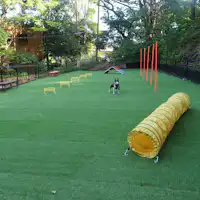 のびのびと遊べる天然芝のドッグラン