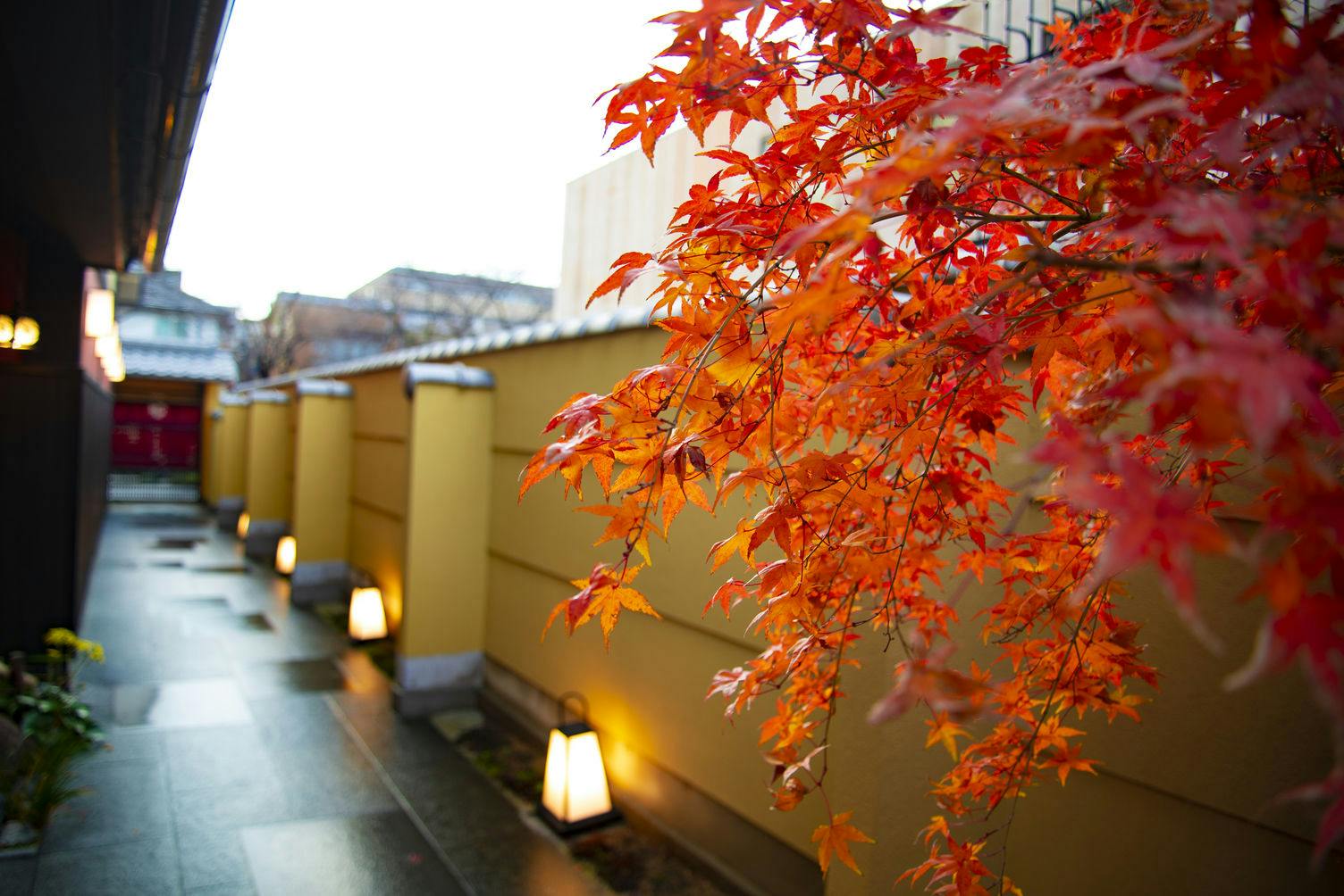 京都　高瀬川別邸