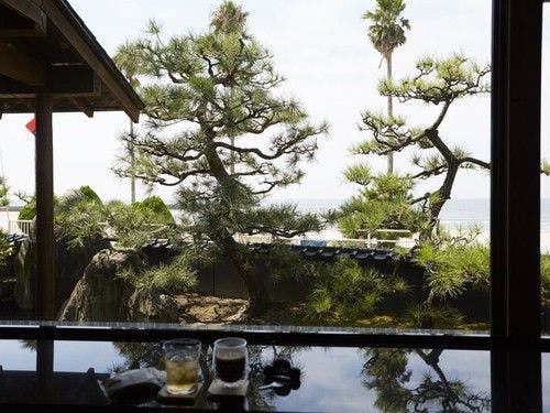 ■松の庭園を眺めて一服