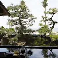 ■松の庭園を眺めて一服
