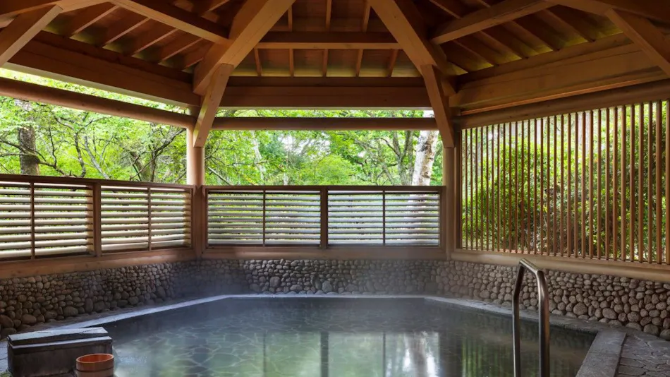 Fuji Marriott Hotel Yamanakako