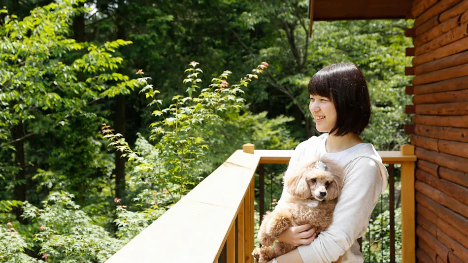 Asan Kotonami