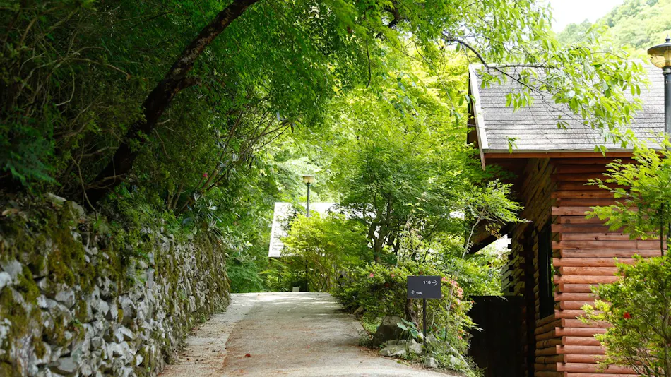 Asan Kotonami