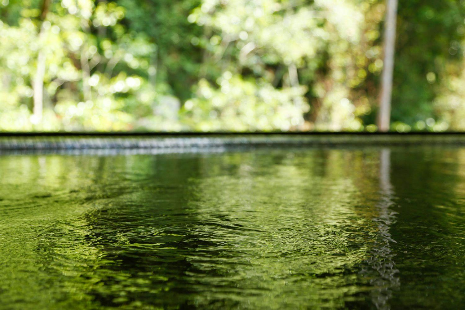 部屋利用なし 日帰りエステ 温泉 エステ 温泉付きデイユースプラン ボディマッサージ80分 プラン 湯山荘 阿讃琴南 一休 Com