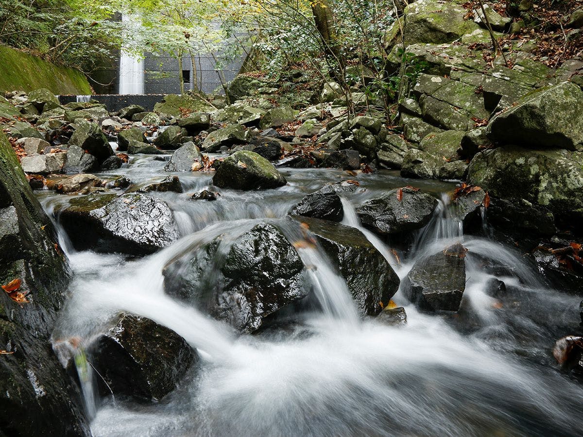 湯山荘 阿讃琴南