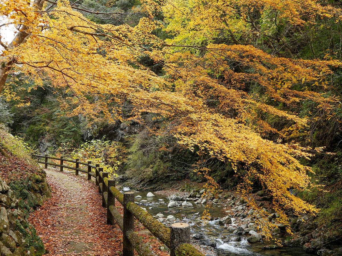 湯山荘 阿讃琴南