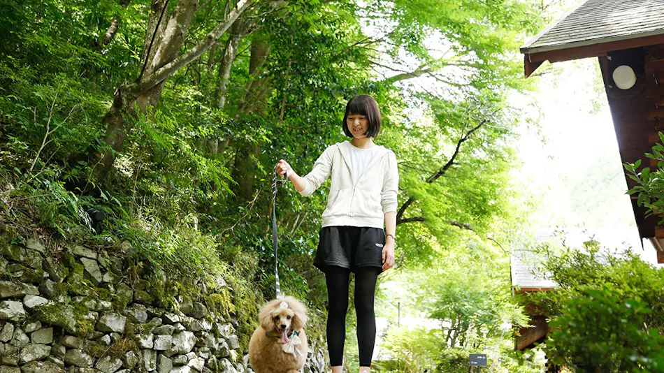 Asan Kotonami