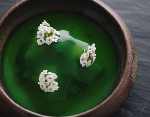 新玉葱と毛ガニのタルタル（提供イメージ）