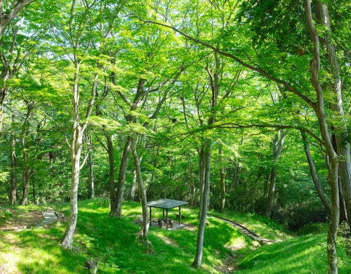 ガーデンテラス