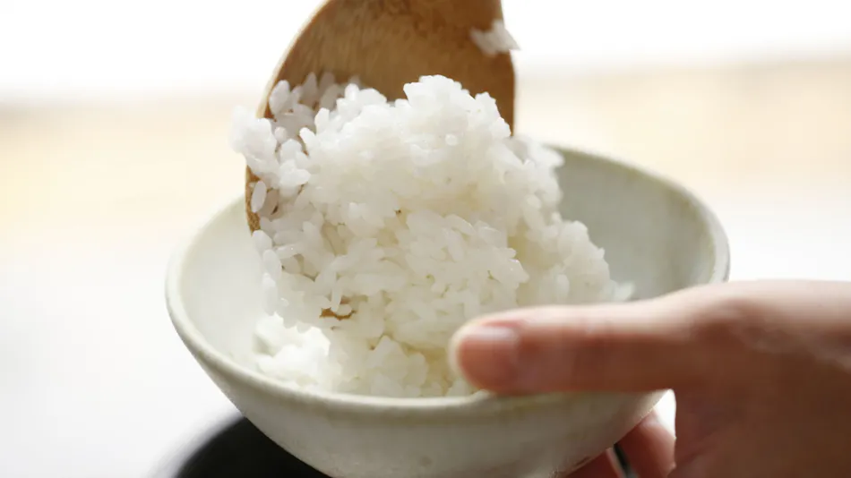 Yamagataza Takinami