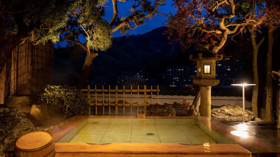 Wakamatsu Hakone Yugawara