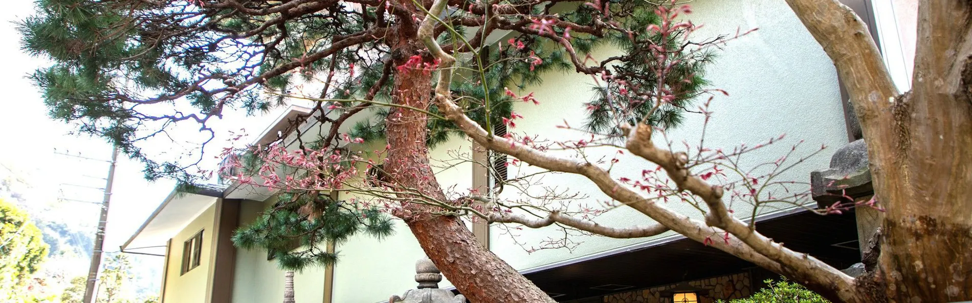若松 箱根湯河原