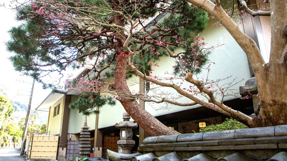 Wakamatsu Hakone Yugawara