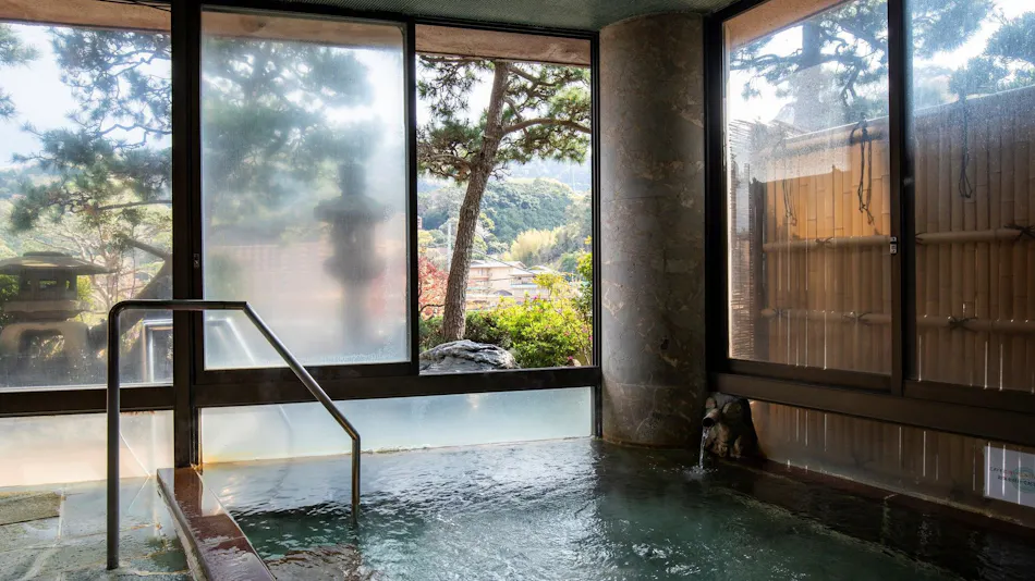 Wakamatsu Hakone Yugawara