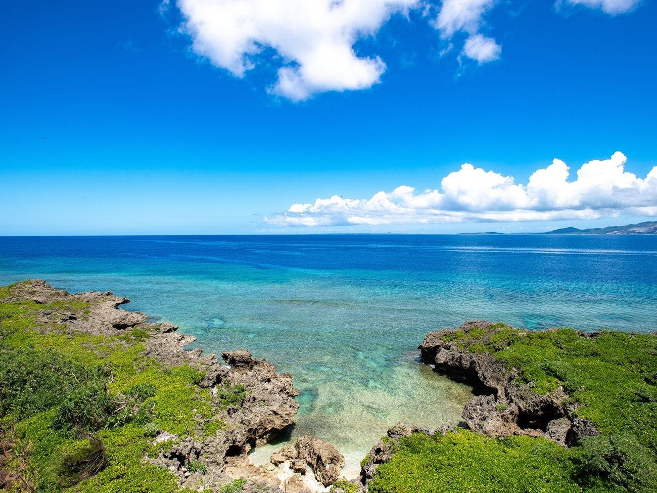 真作 ジョン・ボッチ プログアンスの風景リトグラフ176/275 大判 真作