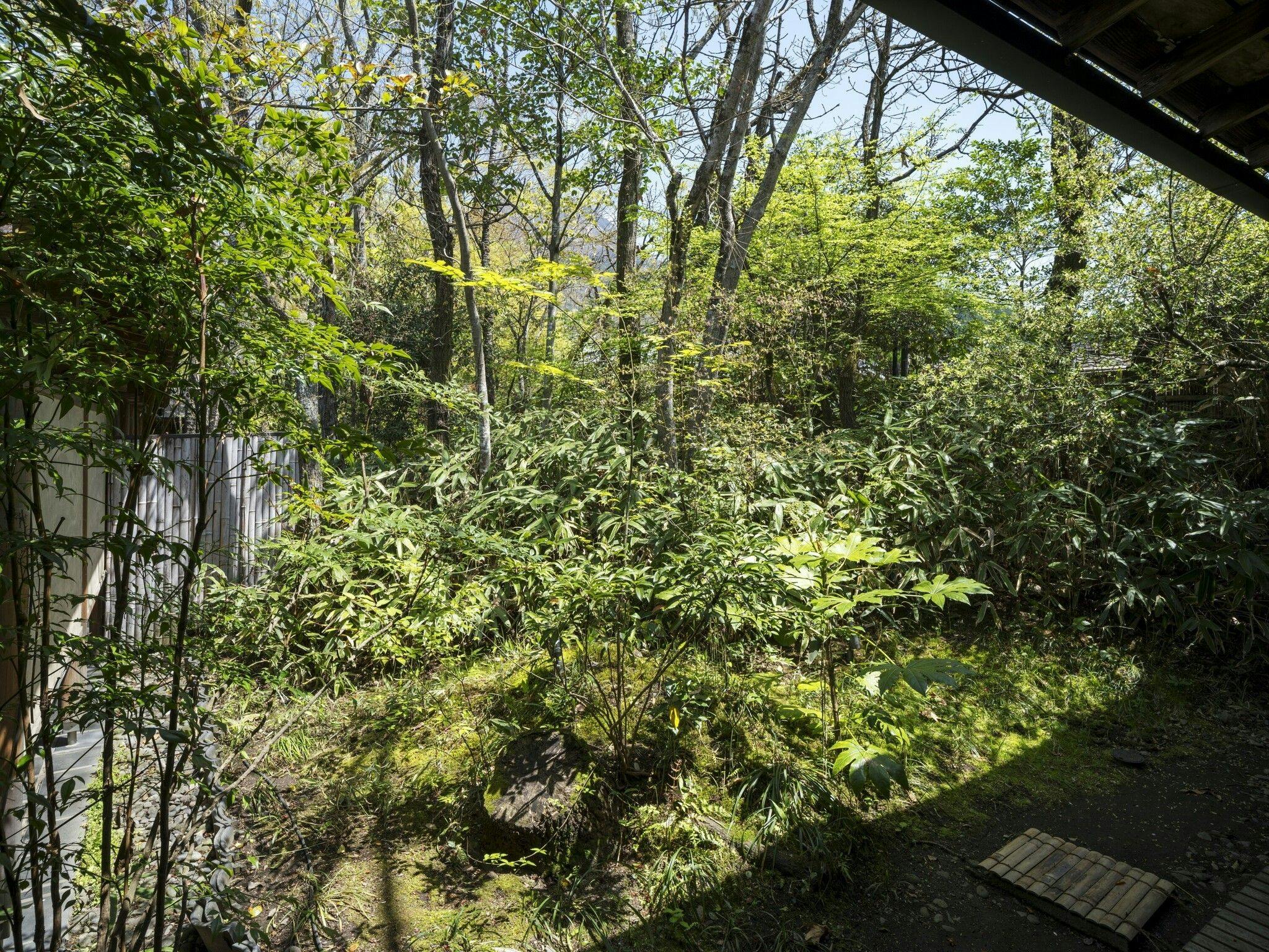 由布院 玉の湯