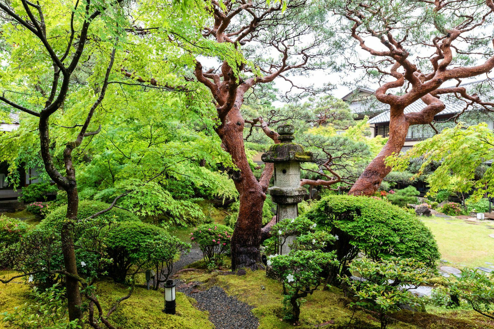 南禅寺参道　菊水