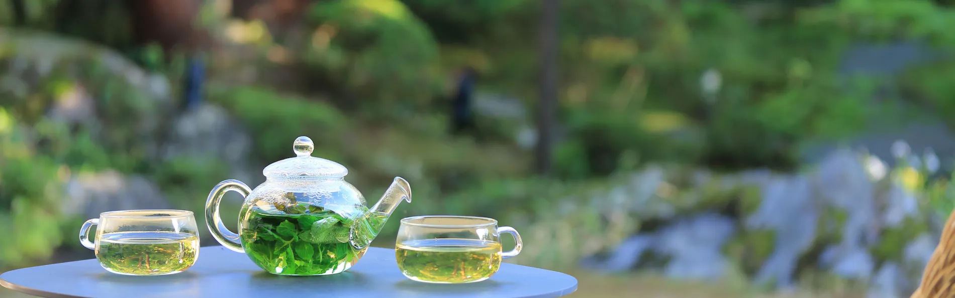 南禅寺参道 菊水