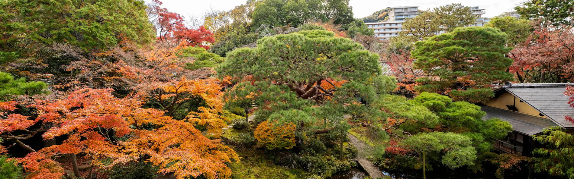 南禅寺参道 菊水