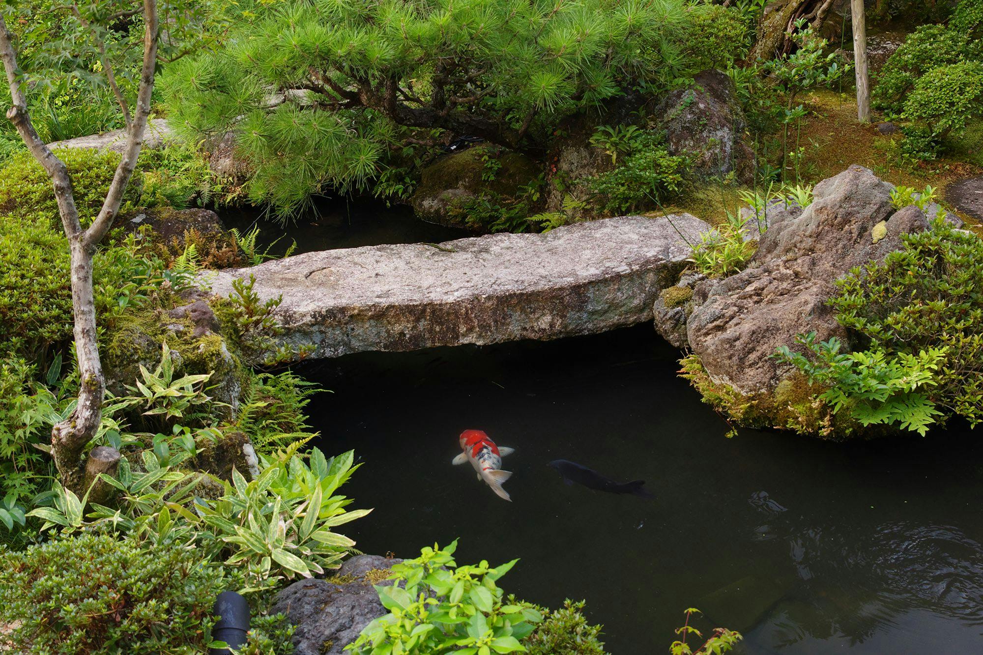 南禅寺参道　菊水
