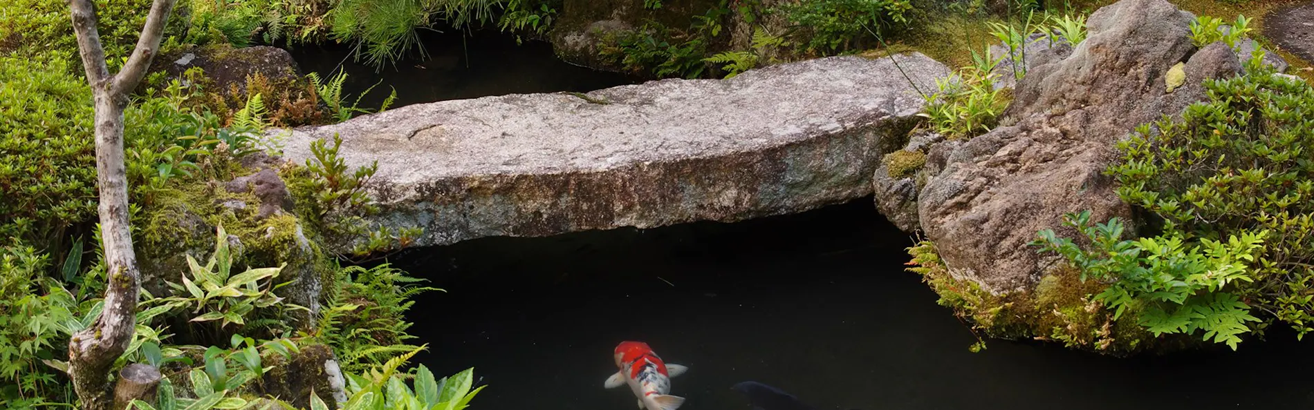南禅寺参道 菊水