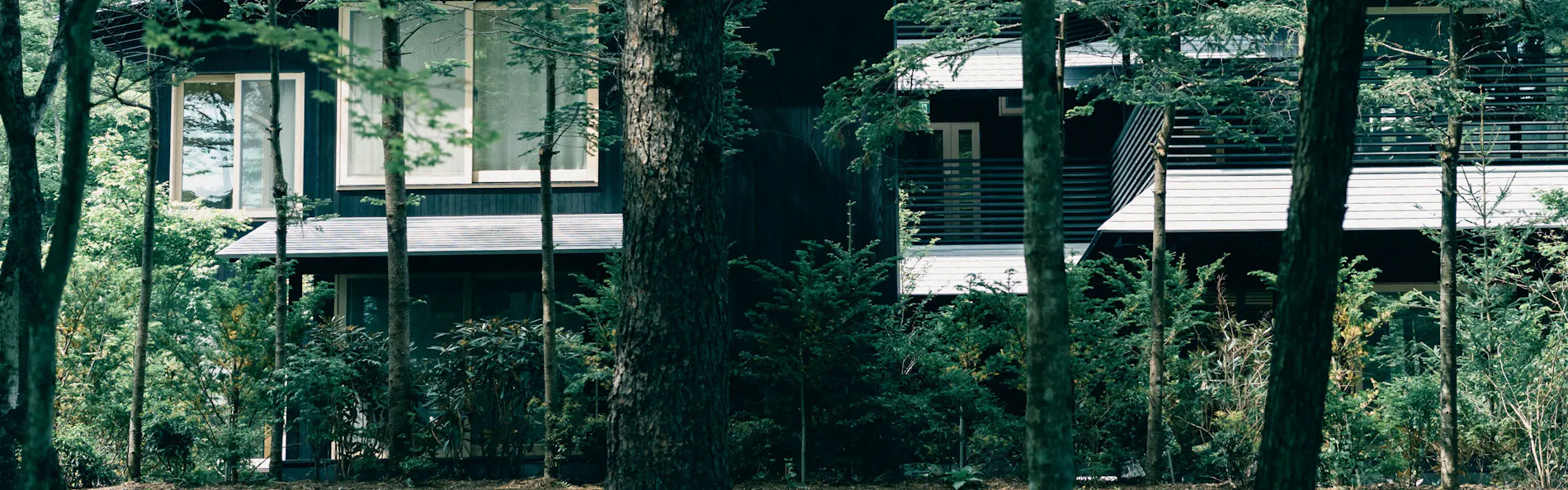 SHISHI-IWA - HOUSE KARUIZAWA