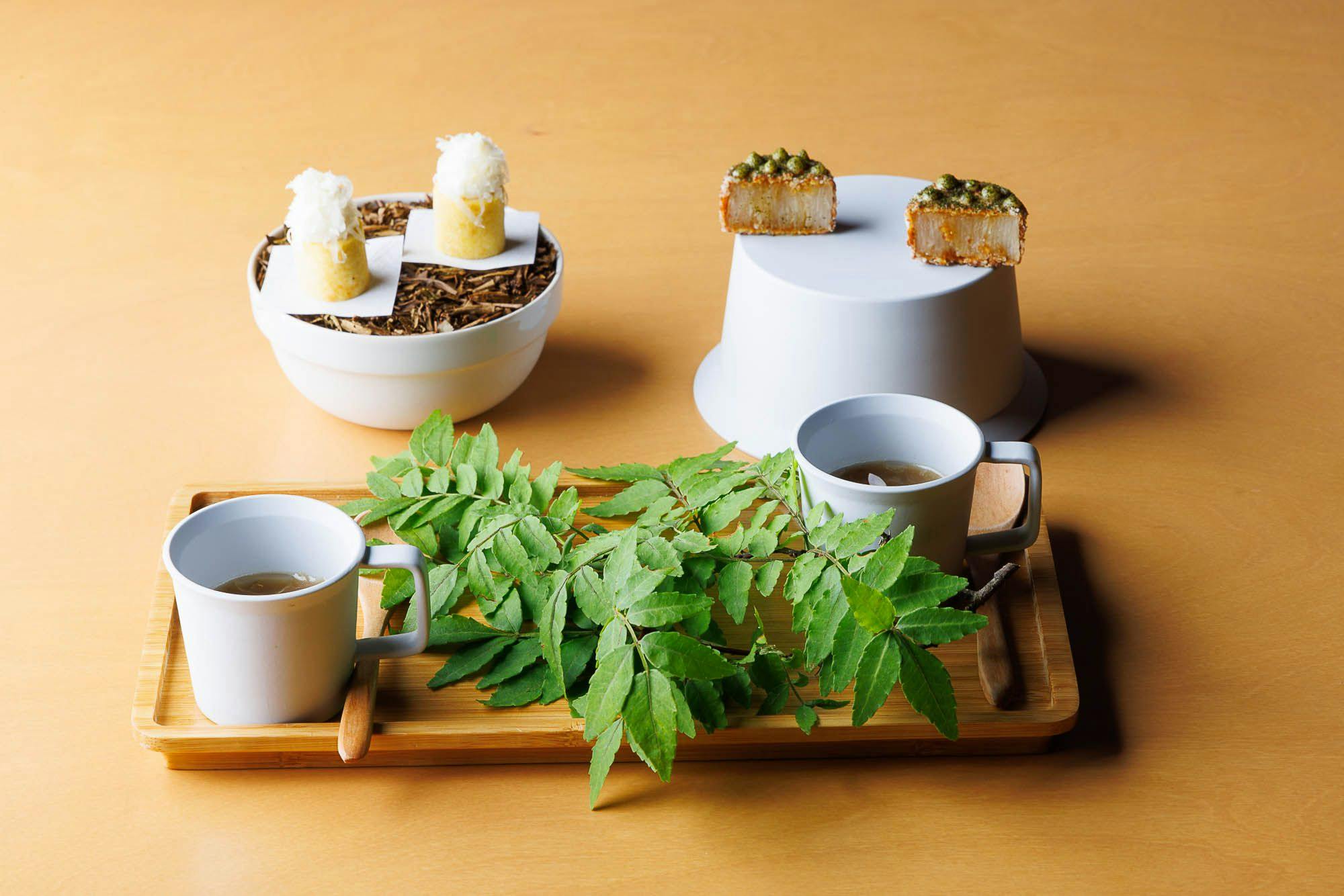 SHISHI-IWA - HOUSE KARUIZAWA