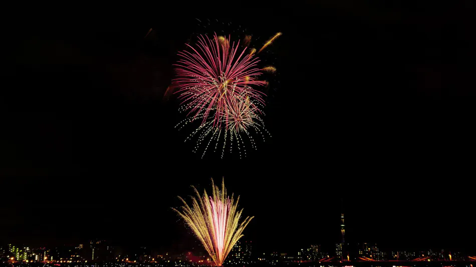 Tokyo Bay Shiomi Prince Hotel