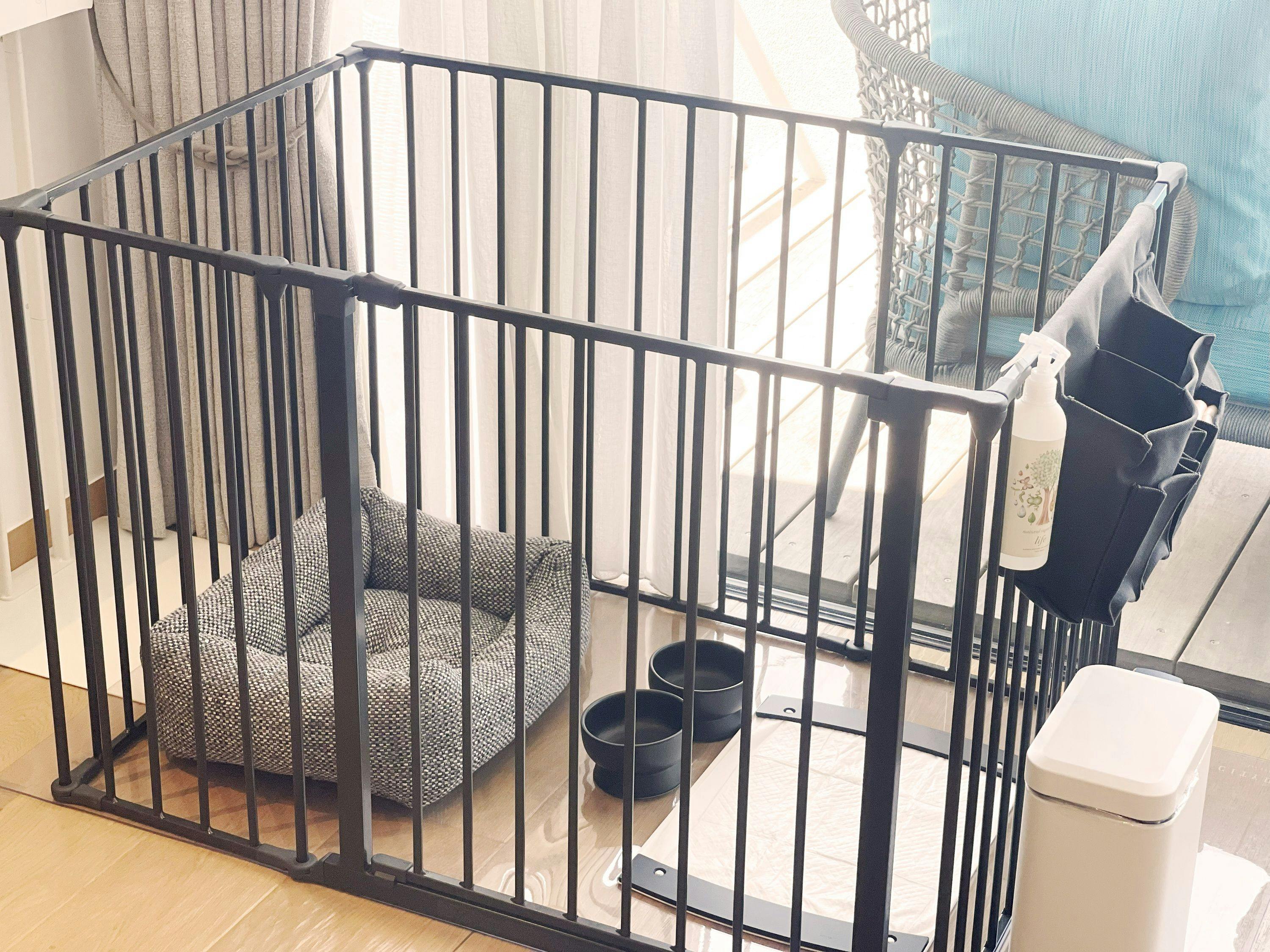 愛犬グッズイメージ