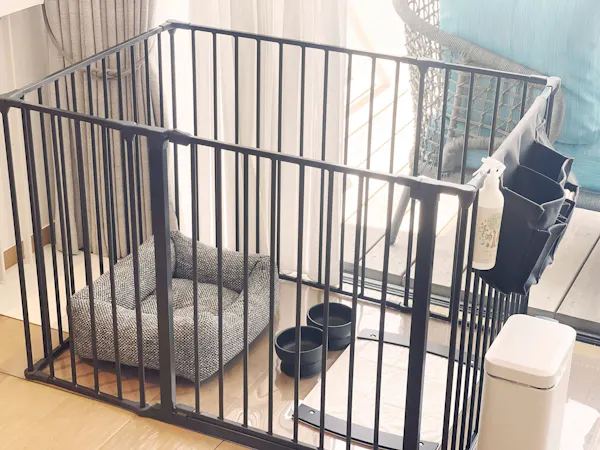 愛犬グッズイメージ