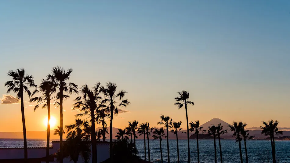 MALIBU HOTEL