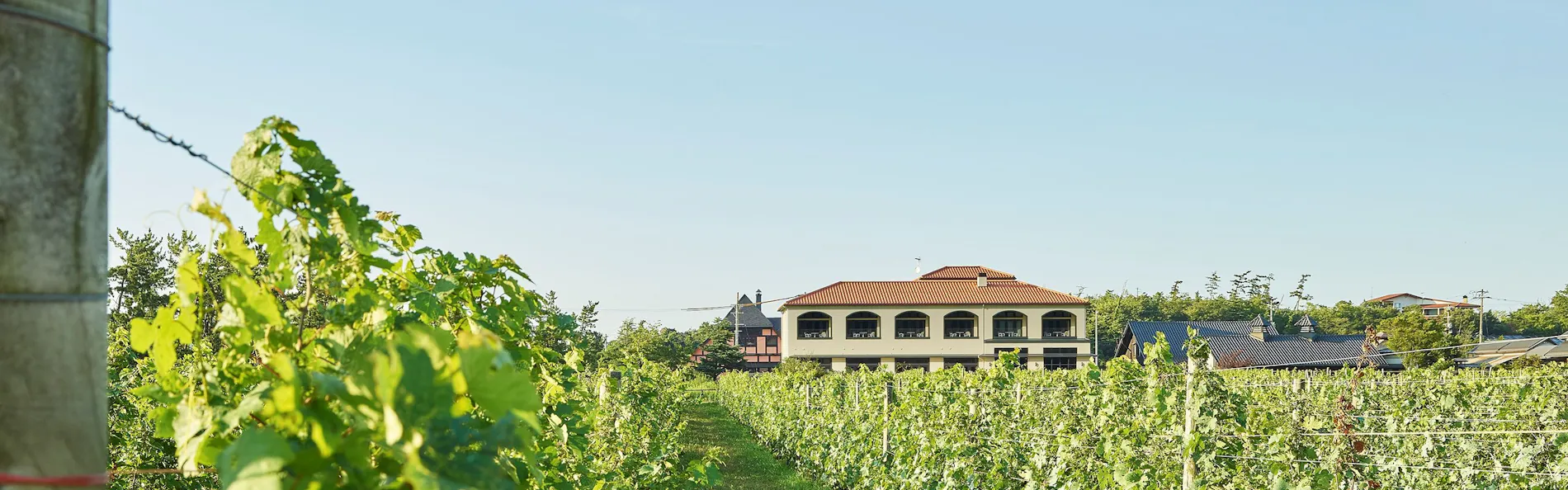 WineryStay トラヴィーニュ byカーブドッチ
