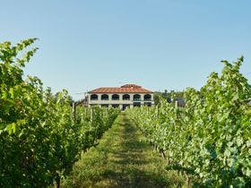 Winerystay TRAVIGNE