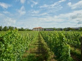 写真：Ｗｉｎｅｒｙｓｔａｙ　ＴＲＡＶＩＧＮＥ