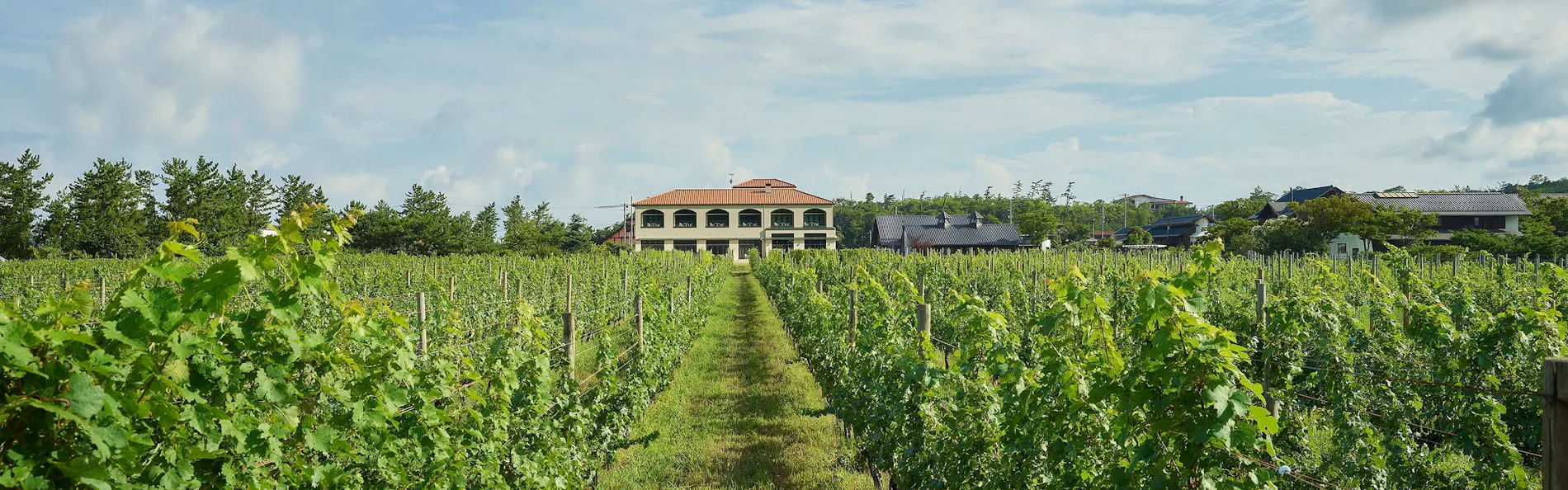 WineryStay トラヴィーニュ byカーブドッチ