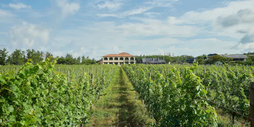 WineryStay トラヴィーニュ byカーブドッチ