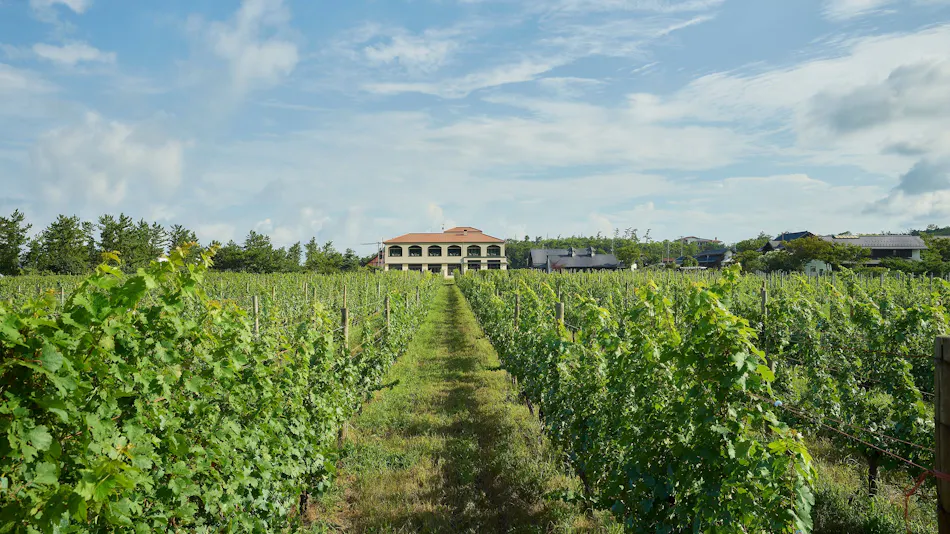 Winerystay TRAVIGNE