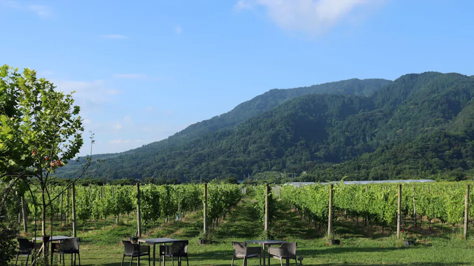 Winerystay TRAVIGNE