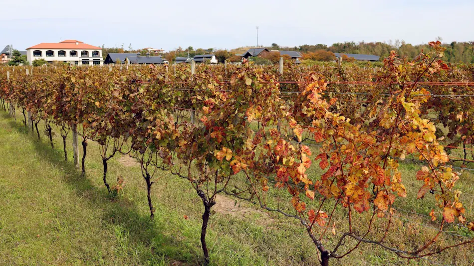 Winerystay TRAVIGNE