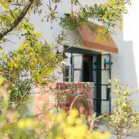 春のウェルカムドリンクはミモザをイメージ