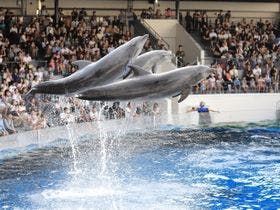 ザ　ロイヤルパークホテル　京都梅小路(2021年3月12日開業)