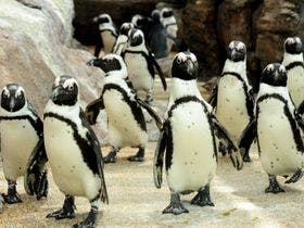 ザ　ロイヤルパークホテル　京都梅小路(2021年3月12日開業)