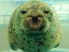 ザ　ロイヤルパークホテル　京都梅小路(2021年3月12日開業)