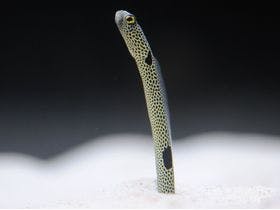 ザ　ロイヤルパークホテル　京都梅小路(2021年3月12日開業)