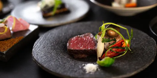 NIPPONIA HOTEL 伊賀上野 城下町