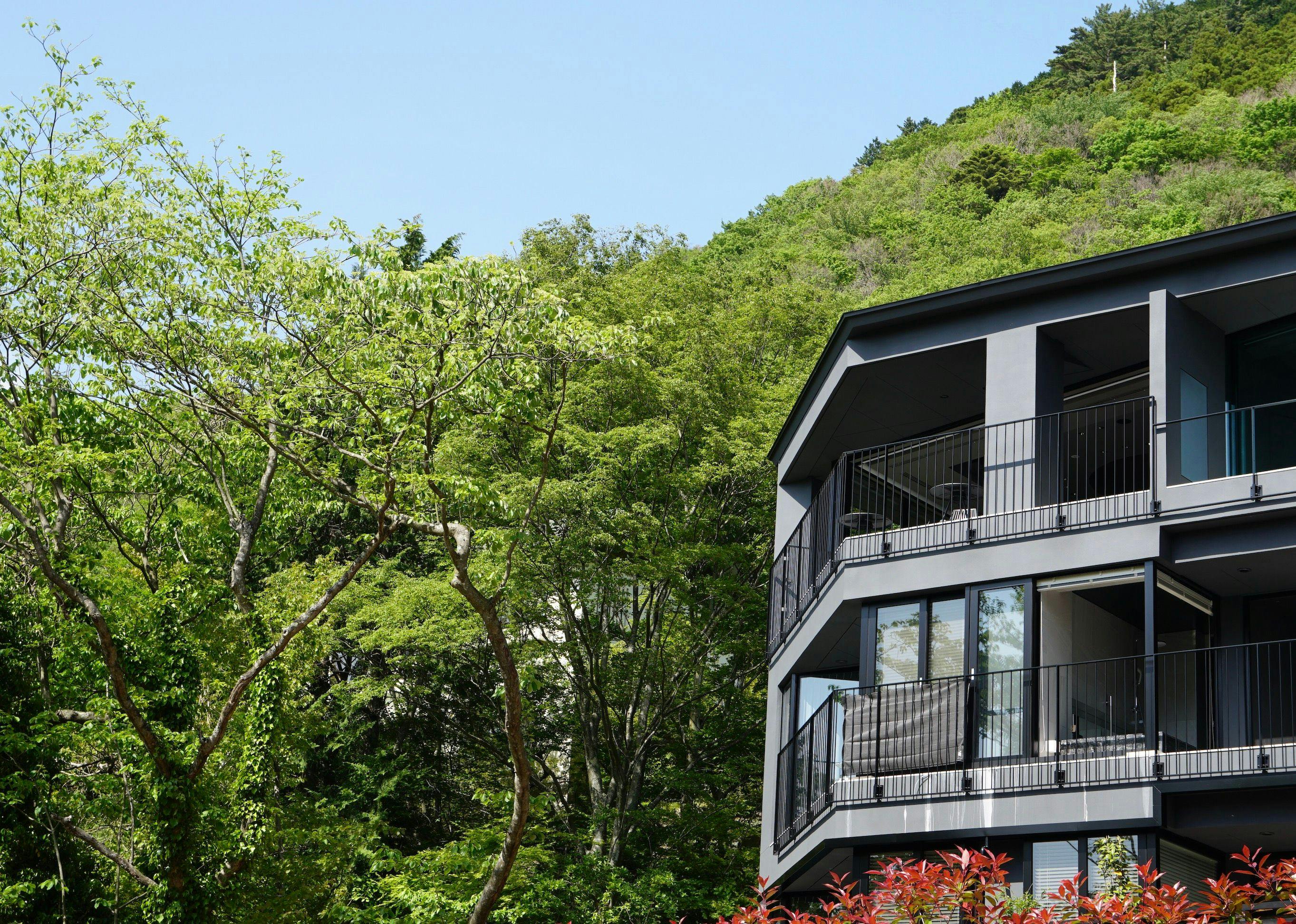 HAKONE NICA