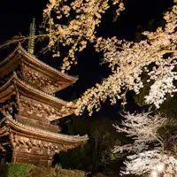 三重塔:春のライトアップ