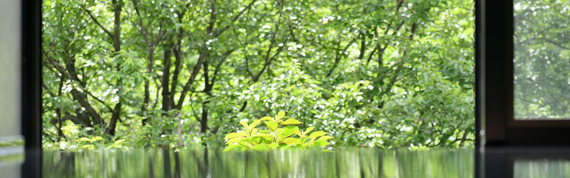 悠久の宿 別邸 蜉蝣の月