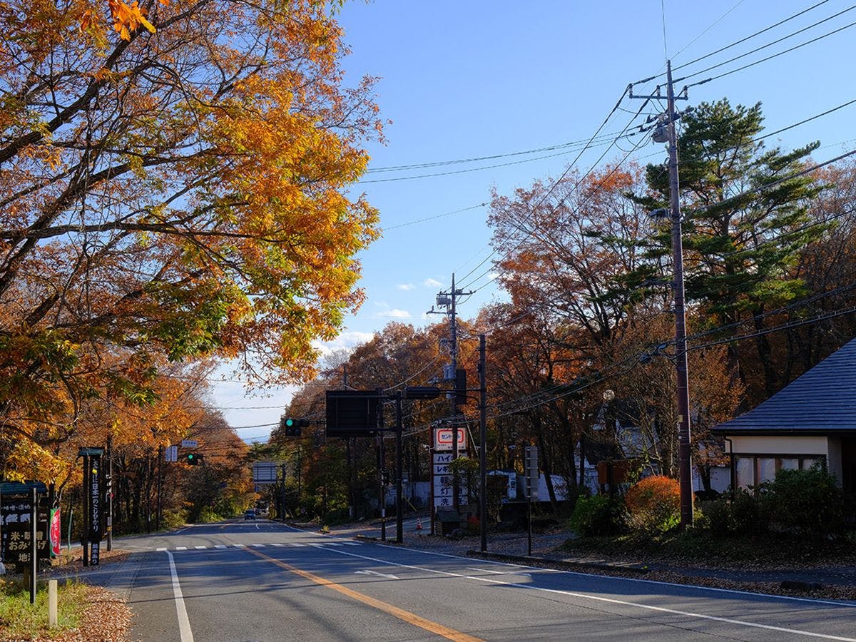 ใบไม้เปลี่ยนสีที่ที่ราบสูงนาสุ