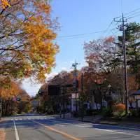 ใบไม้เปลี่ยนสีที่ที่ราบสูงนาสุ